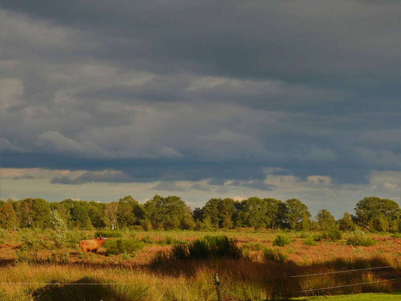 Donkere wolken