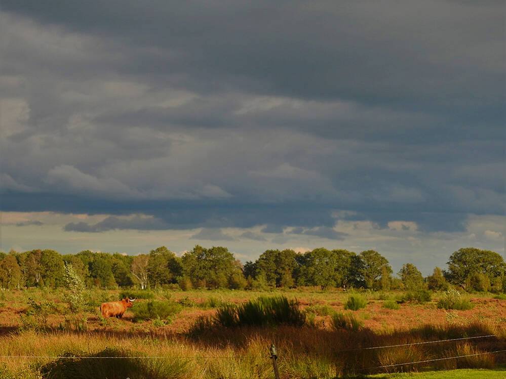 Donkere wolken