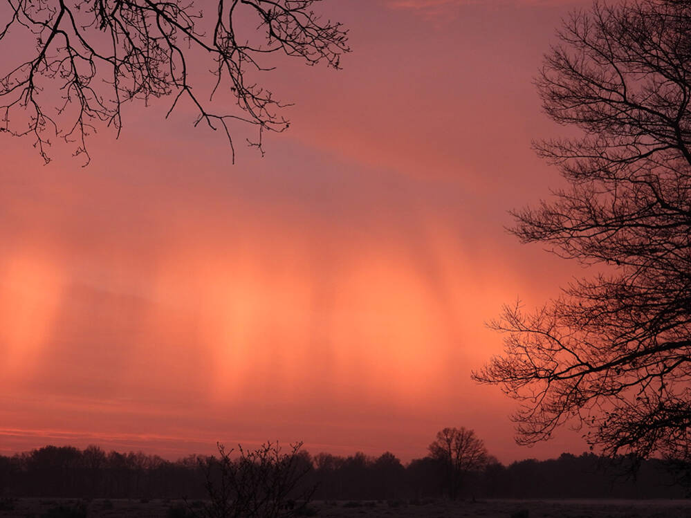 Morgenrood