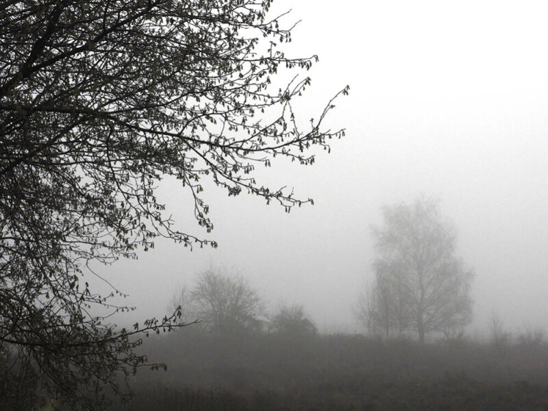 Mist