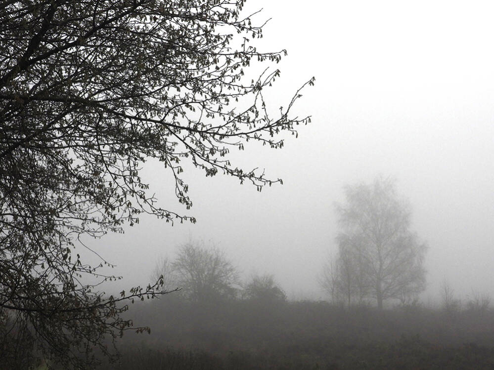 Mist
