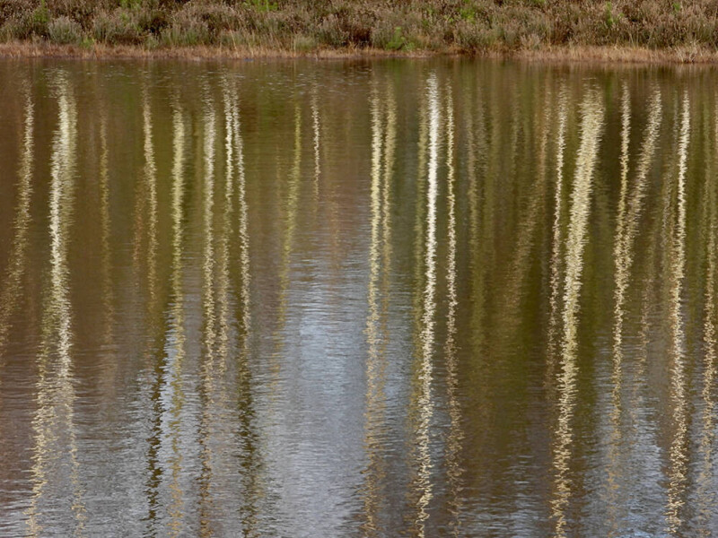 Spiegeling