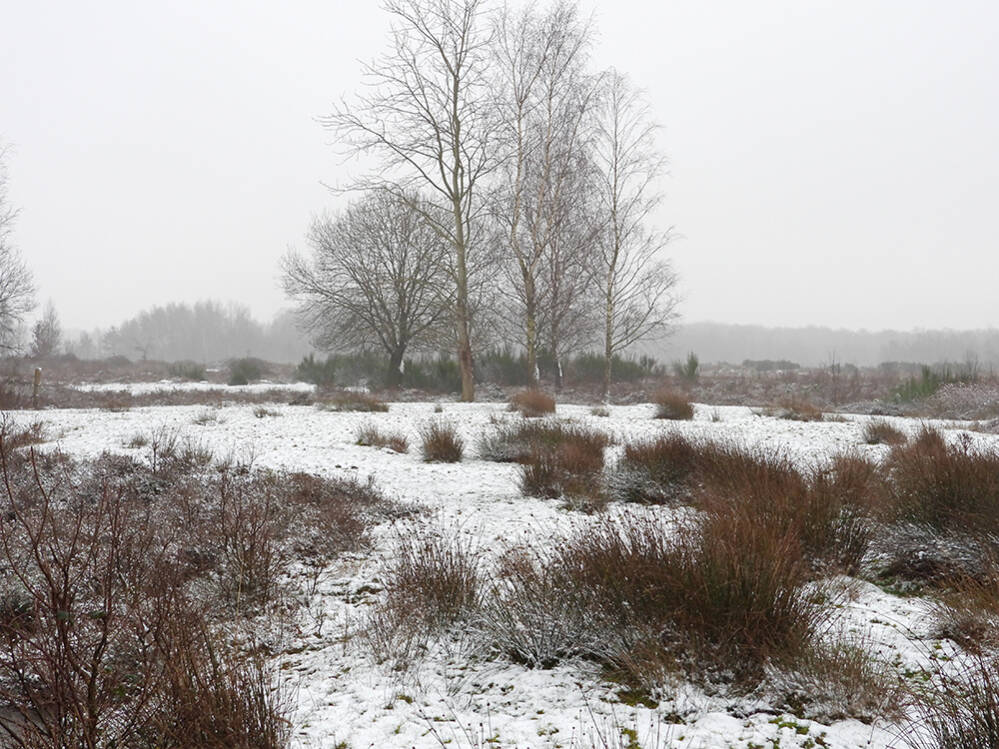 Een beetje sneeuw