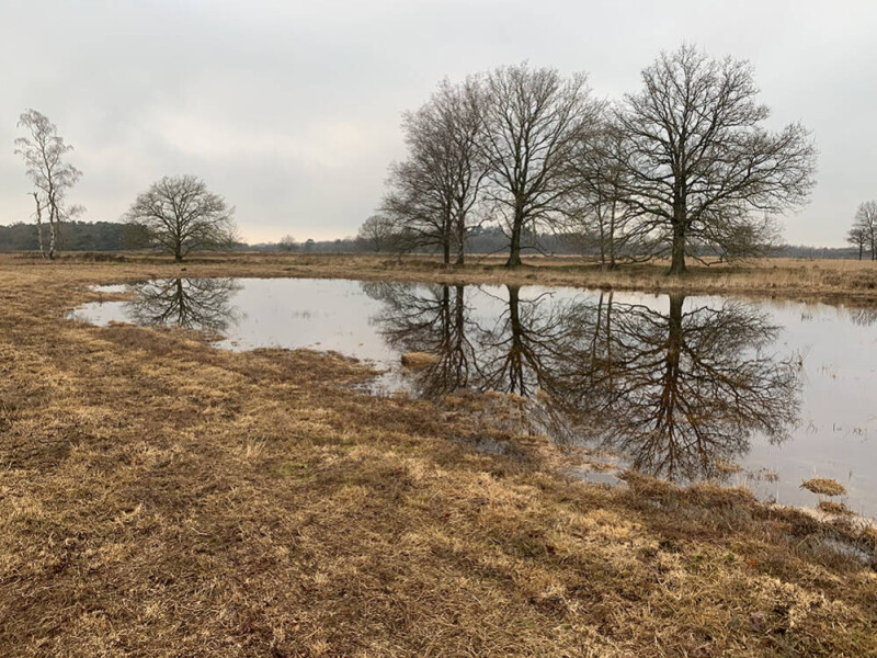 De Wildenberg