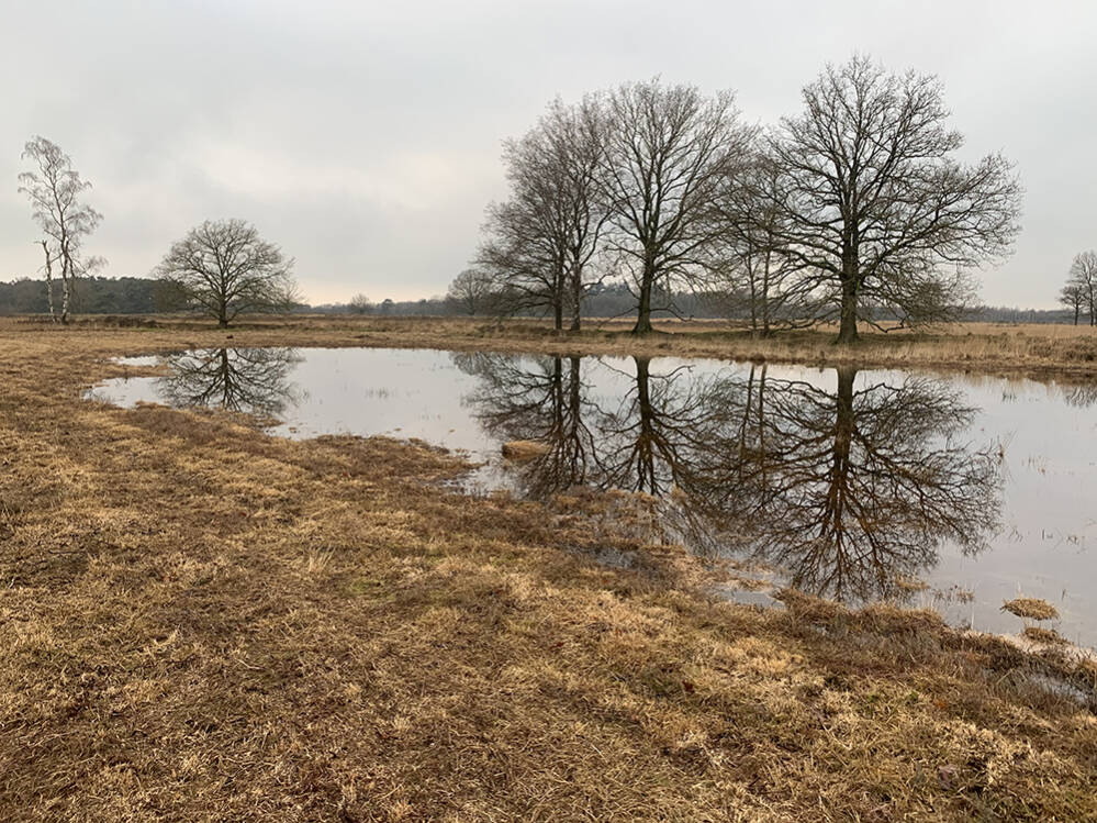 De Wildenberg