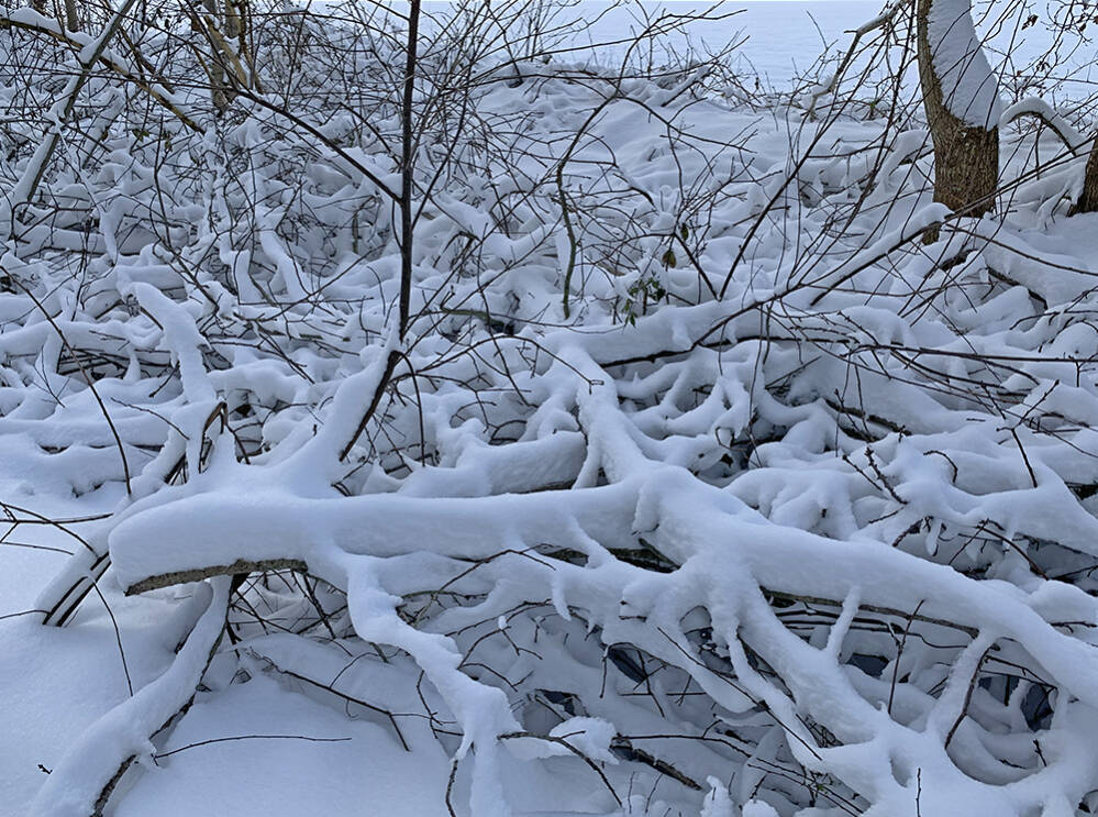 Echte sneeuw