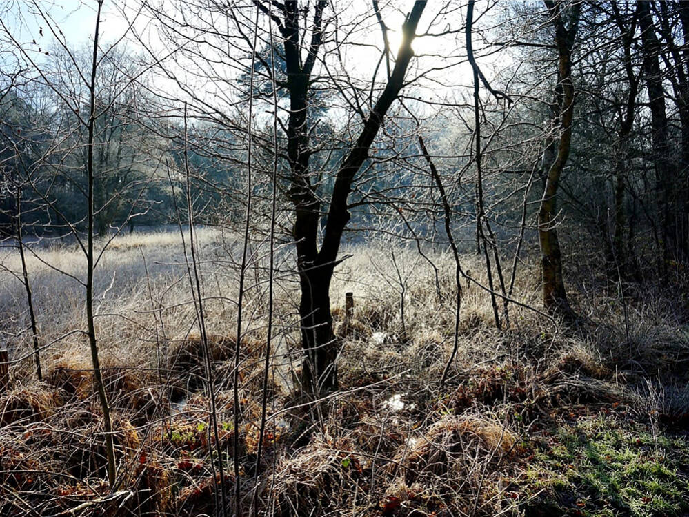 Plukje landschap