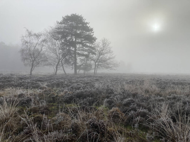Zonnemist