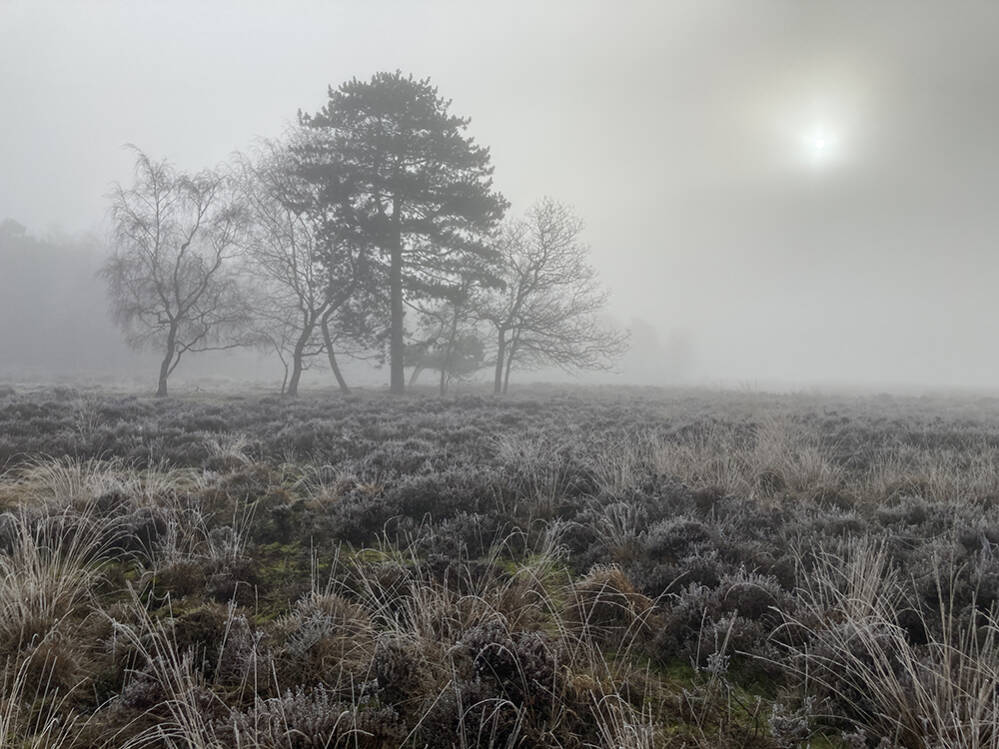 Zonnemist