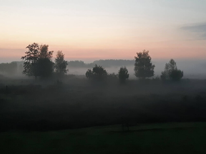 Weer in de weer