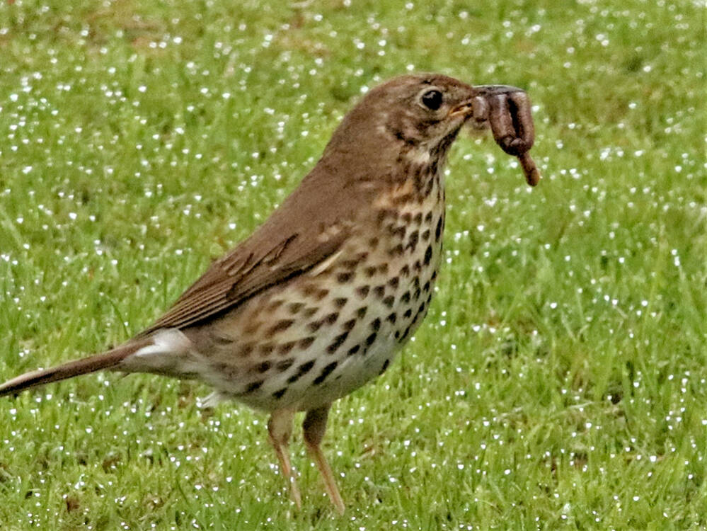 Smakelijk eten