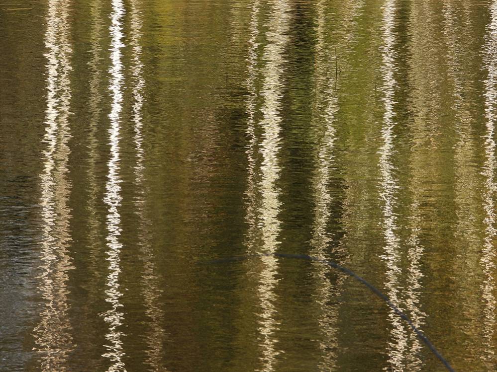 Spiegeling