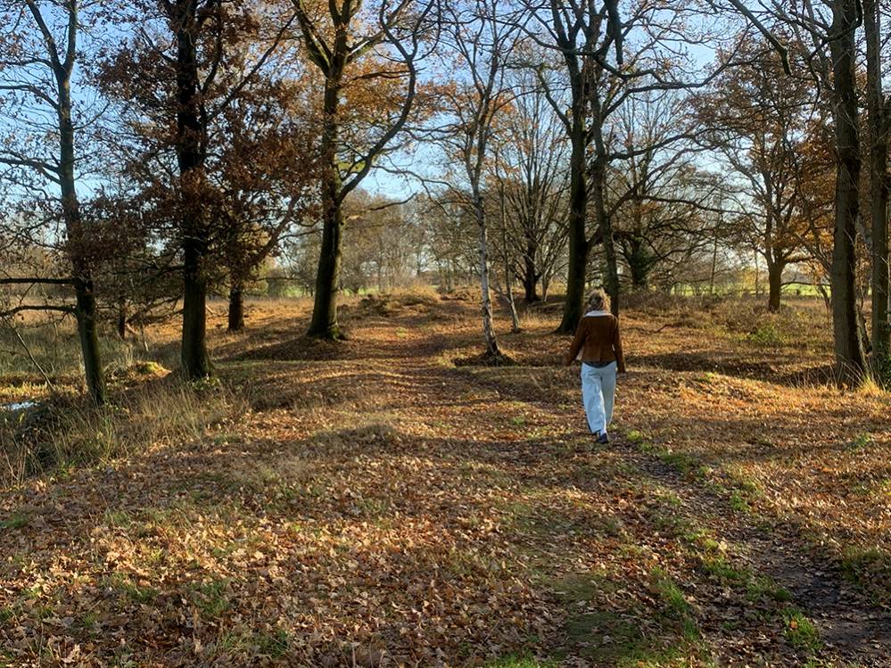 Wandelen