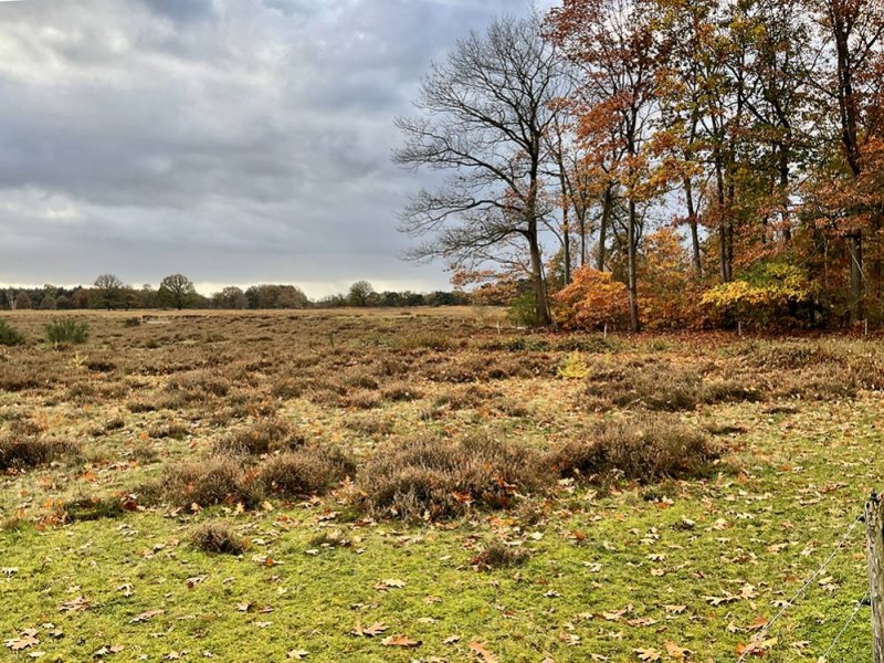 Kleurrijk