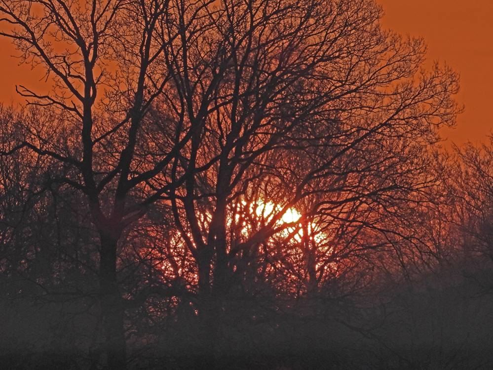 Zonsopgang