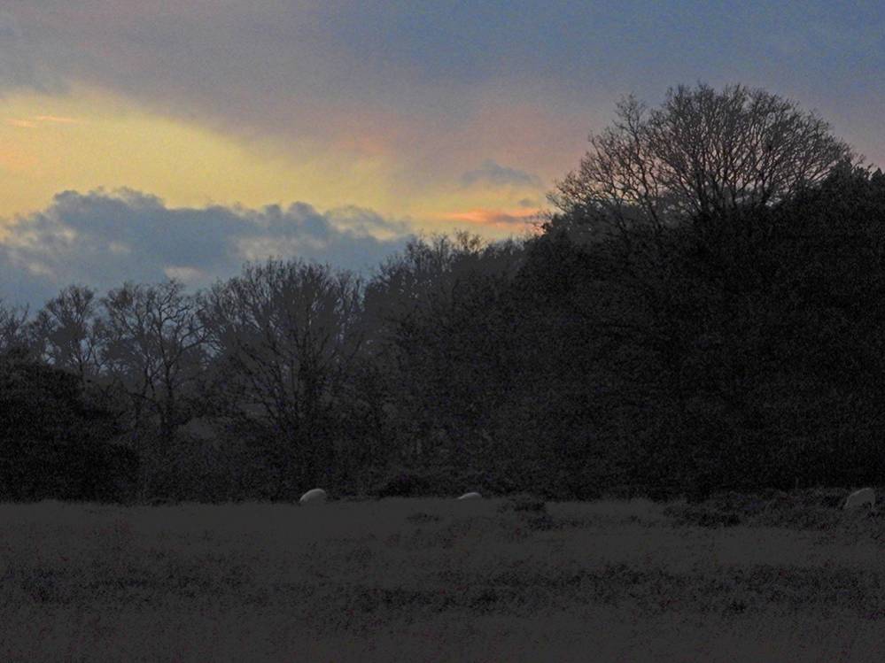 Heide