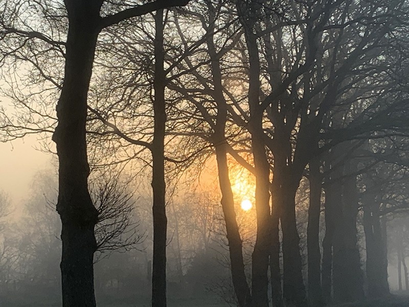Lente