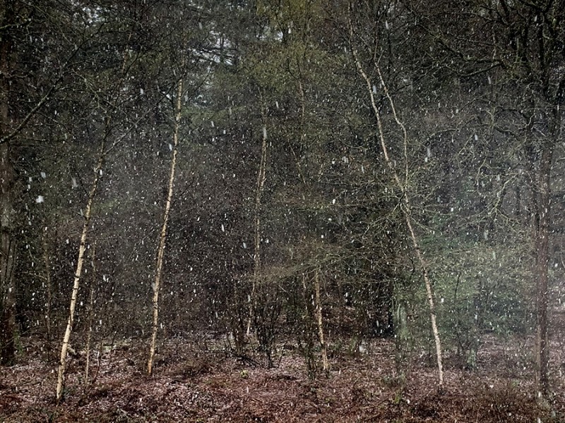 Het sneeuwt