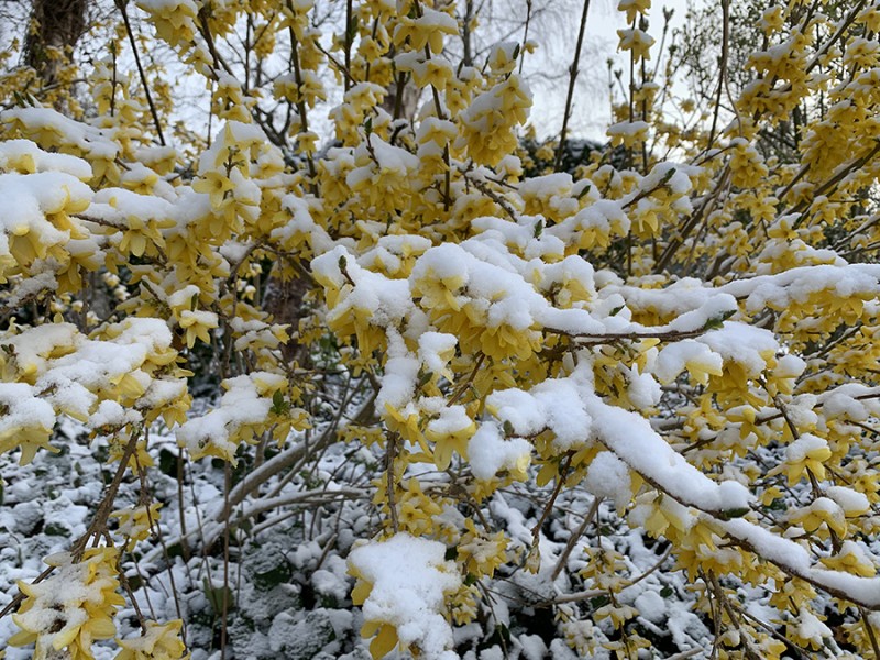 April