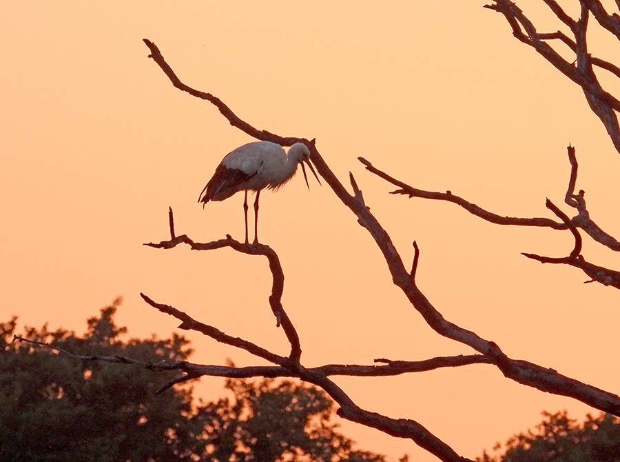 zonsondergang