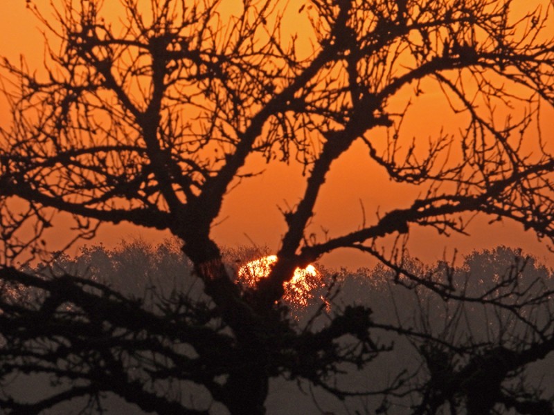 Zonsopgang