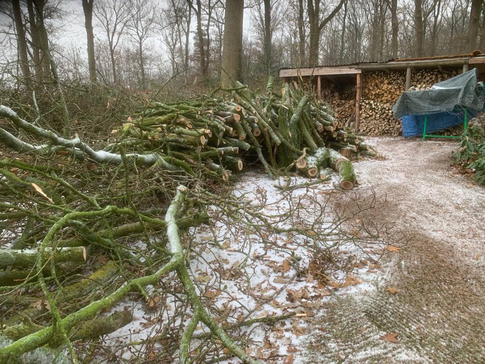 Hout