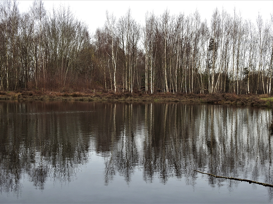 Spiegelbeeld