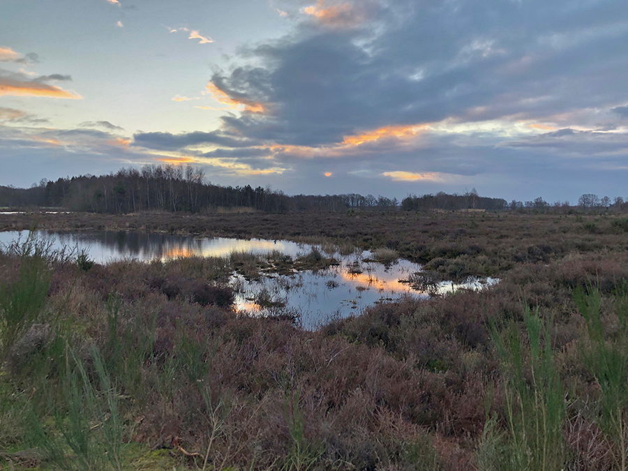 Ochtend licht