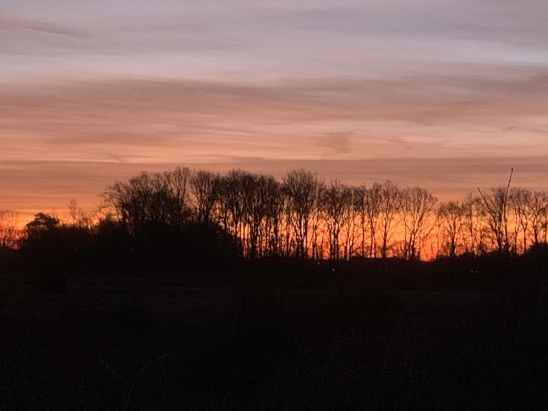 Ochtendrood