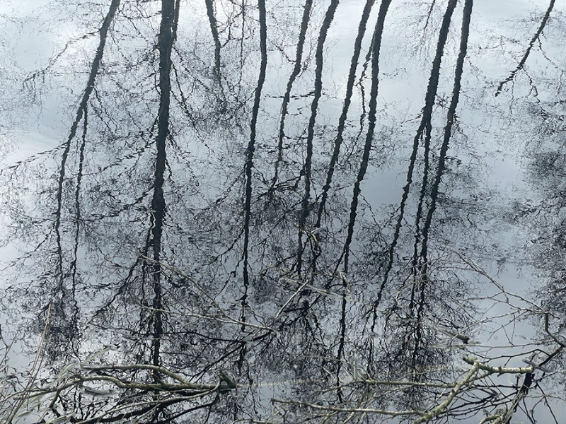 Spiegelbeeld