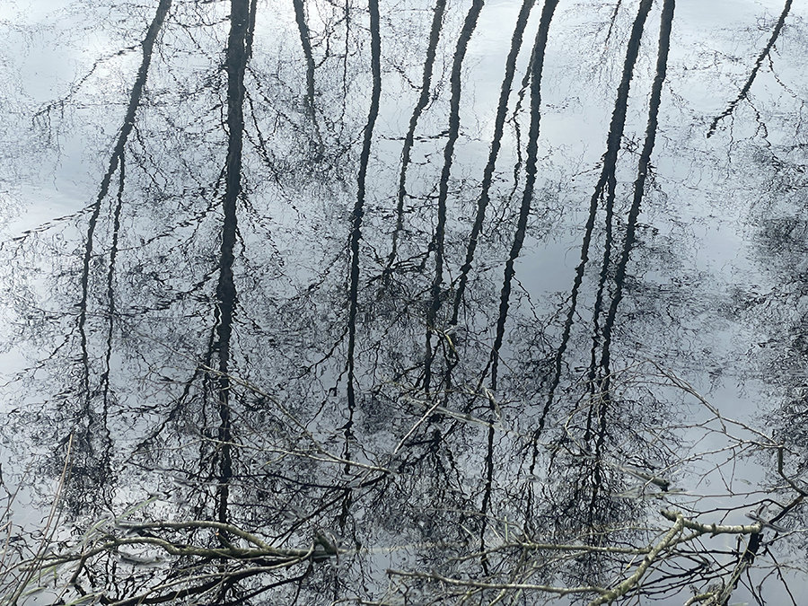 Spiegelbeeld