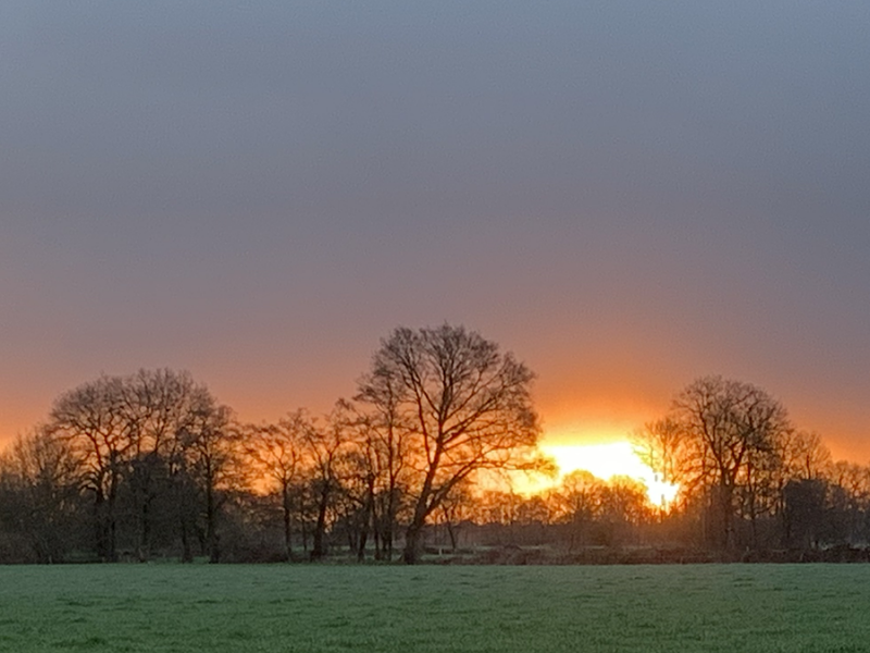 Ochtend