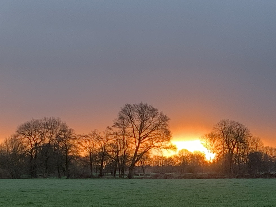 Ochtend