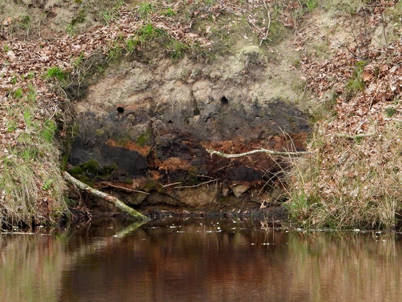 Wachten
