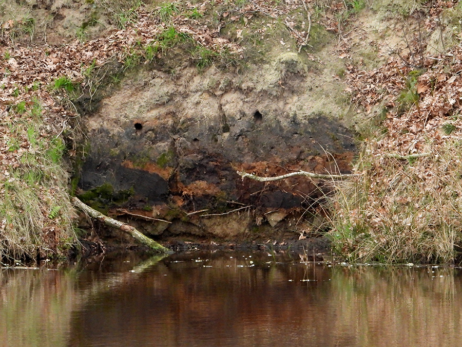 Wachten
