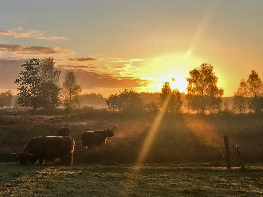 Goede morgen