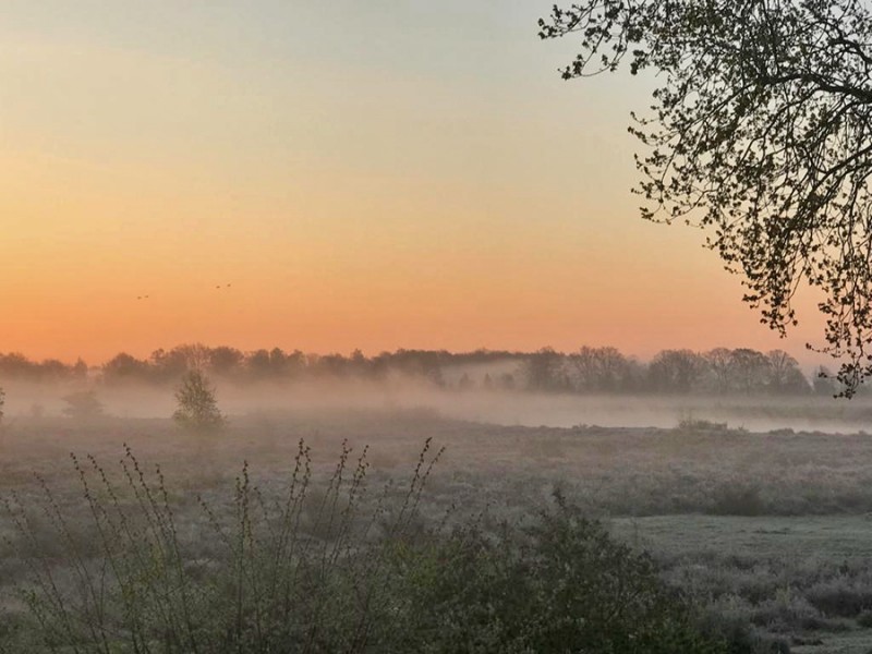 Oranje morgen