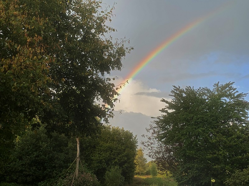 Regenboog