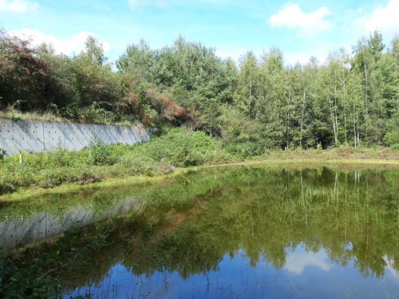 Spiegelbeeld