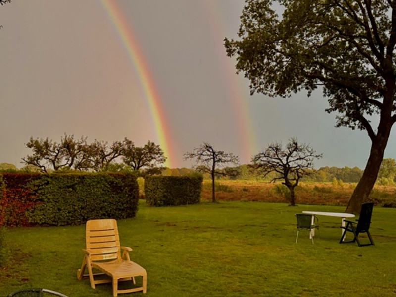 Regenboog