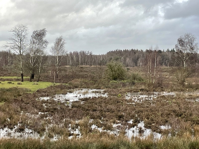 Storm en regen