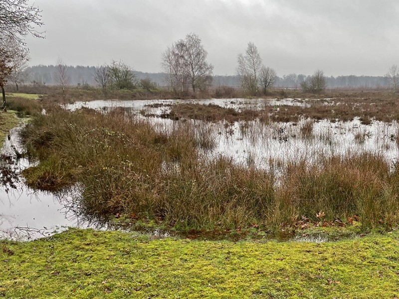 Achter het Hooghuis
