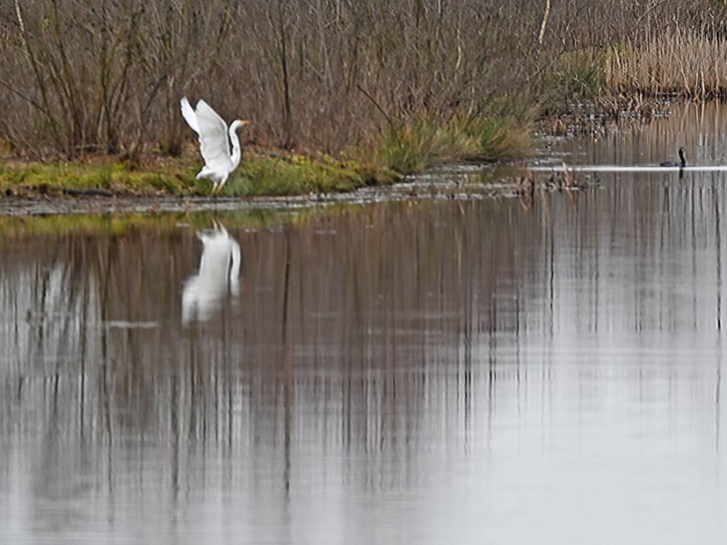 Wandeling