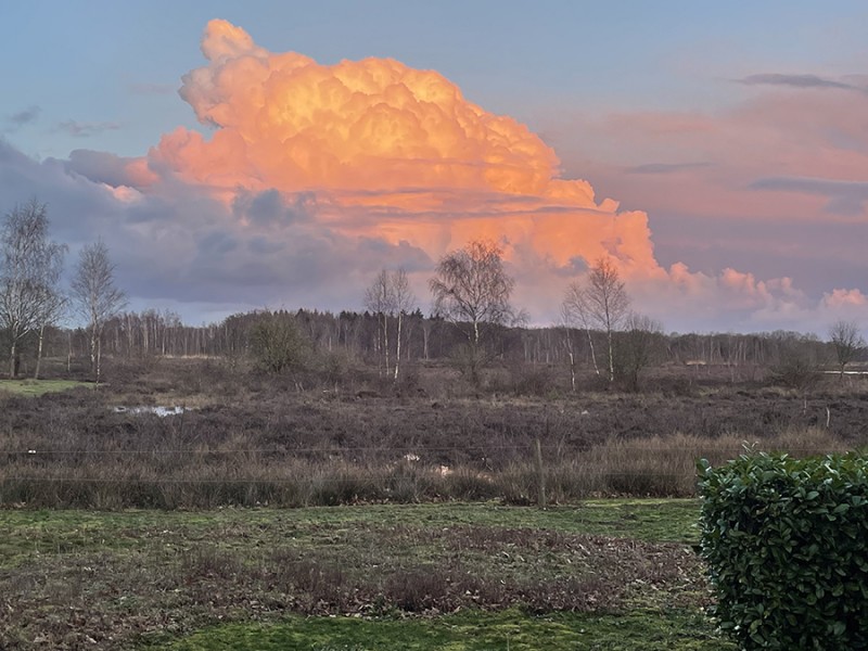 Rode wolk