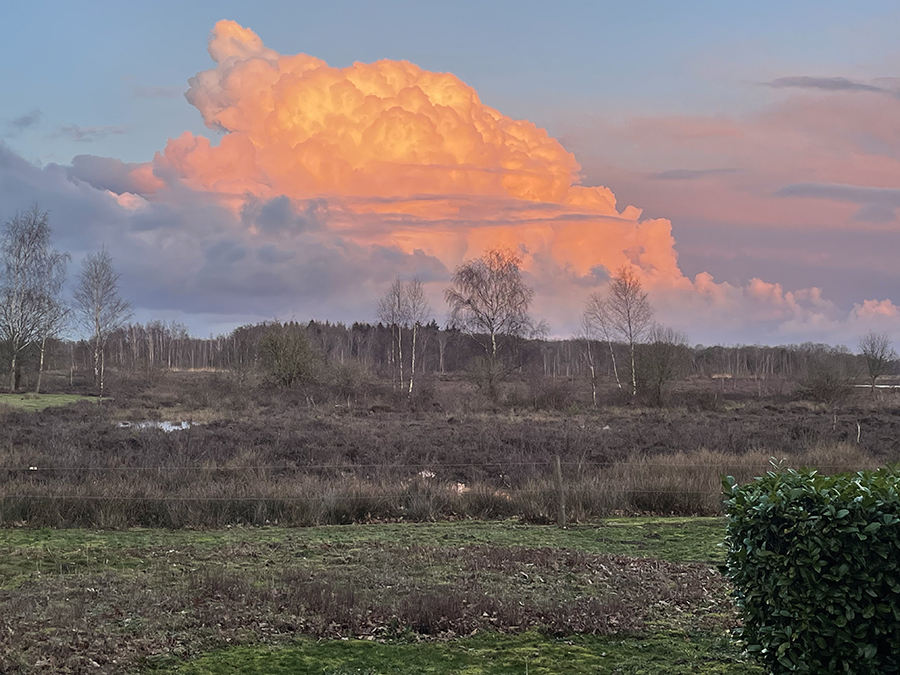 Rode wolk