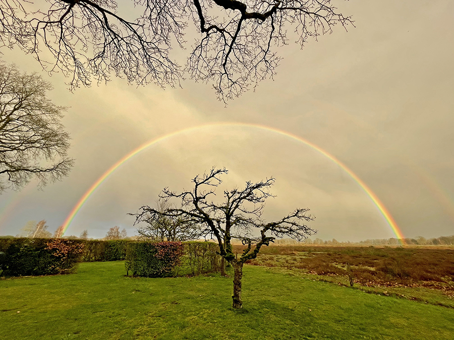 Regenboog voor Alex