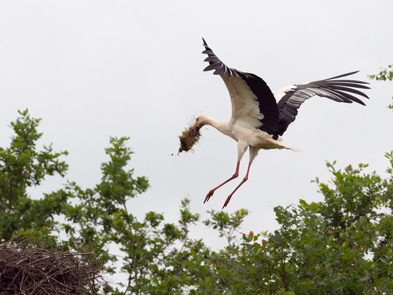 Landing