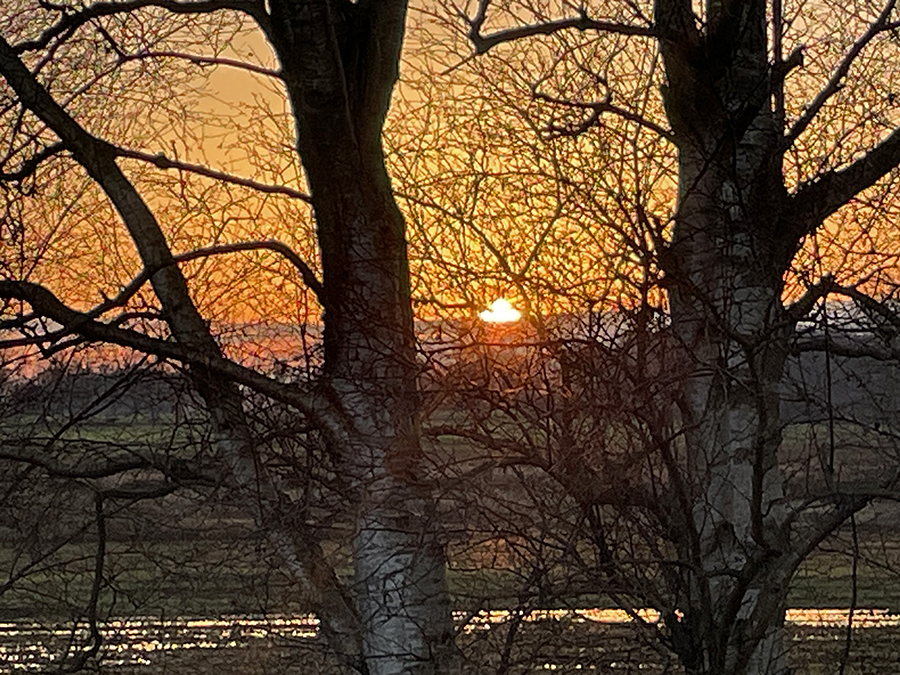 Zon onder