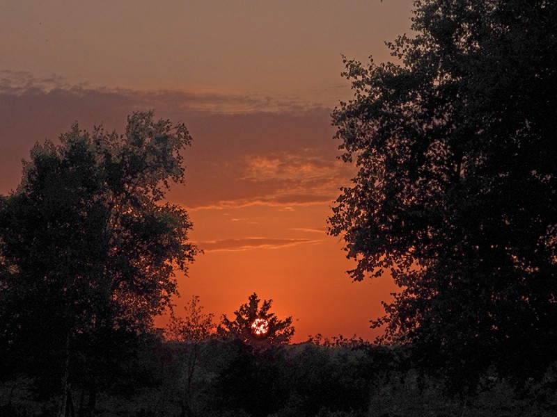 Goedenavond