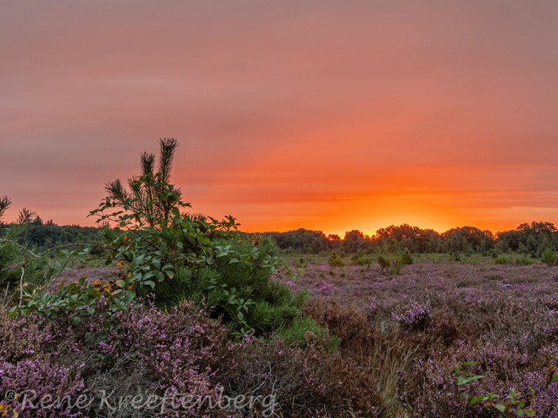 Zonsopgang